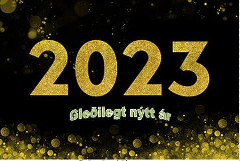 Gleðilegt nýtt ár