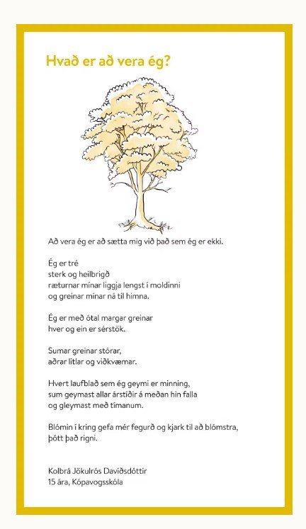 Fernuflug - til hamingju Kolbrá!