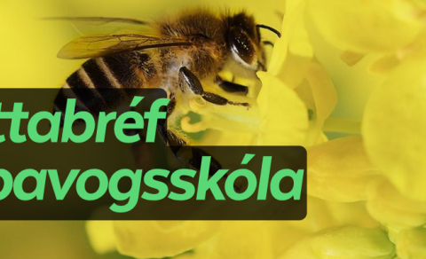 Fréttabréf Kópavogsskóla júní 2024