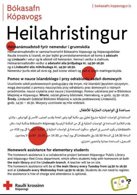 Heimanámsaðstoð Heilahristingur