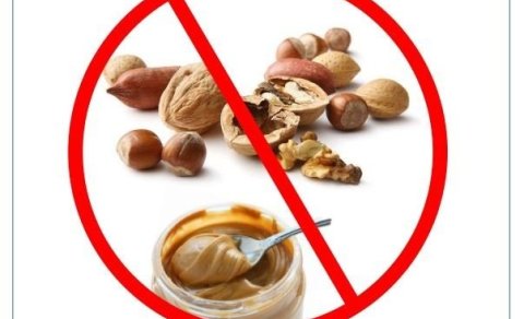 Kópavogsskóli er hnetulaus skóli