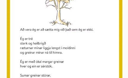 Fernuflug - til hamingju Kolbrá!